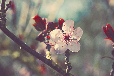 DDOS在线压力测试