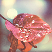 靠谱的充值渠道求的怎么去攻击一个网站与防护